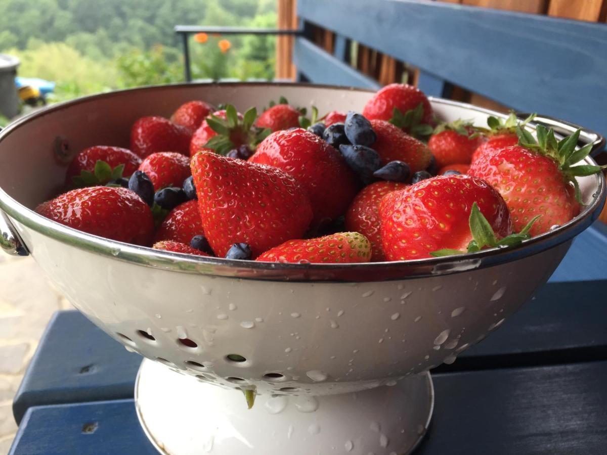 Bed and Breakfast Rose Hip Hill Farm Valea Tirnei Exterior foto