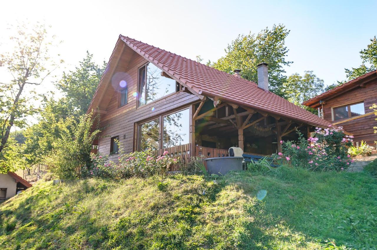 Bed and Breakfast Rose Hip Hill Farm Valea Tirnei Exterior foto