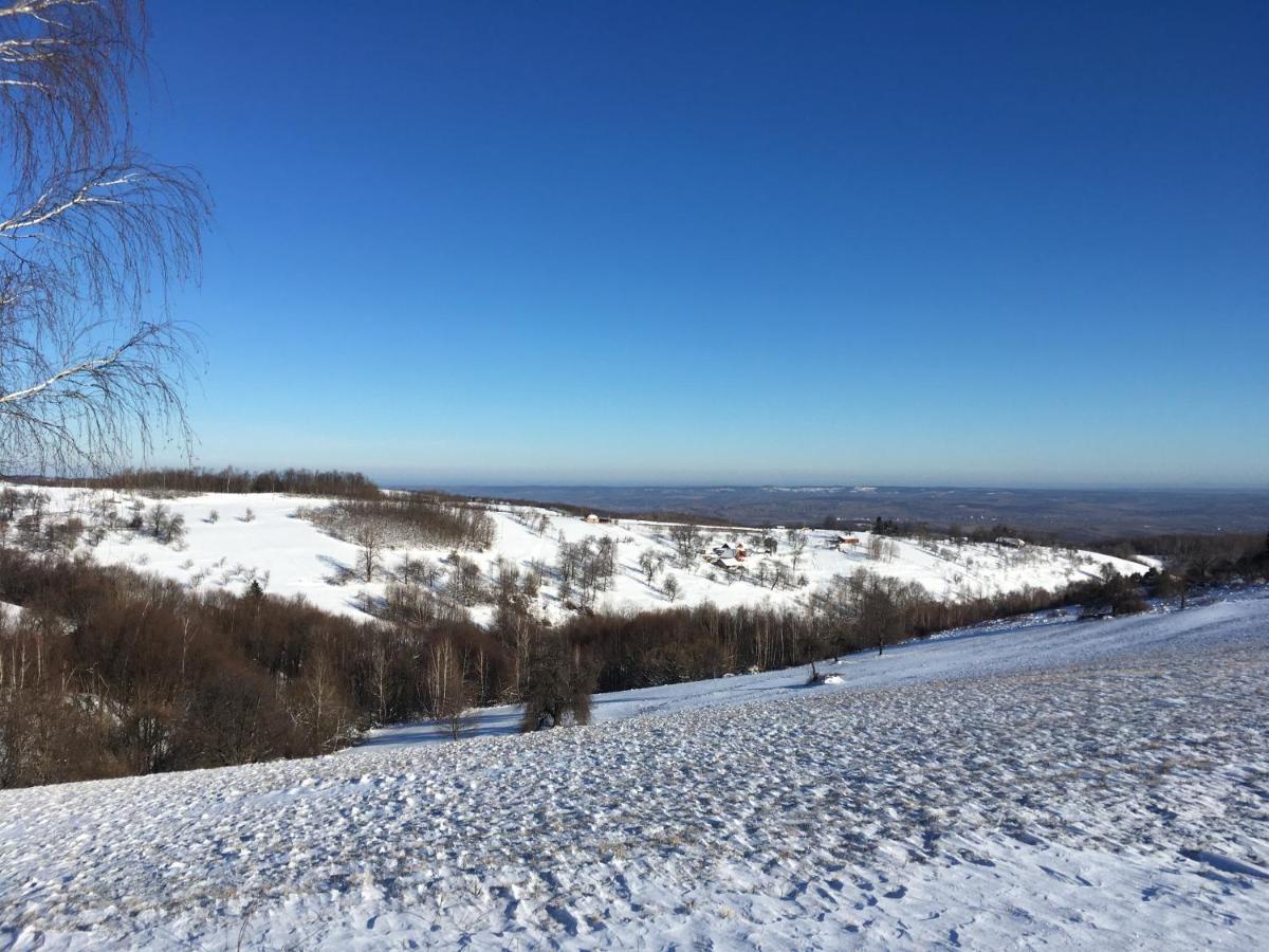 Bed and Breakfast Rose Hip Hill Farm Valea Tirnei Exterior foto