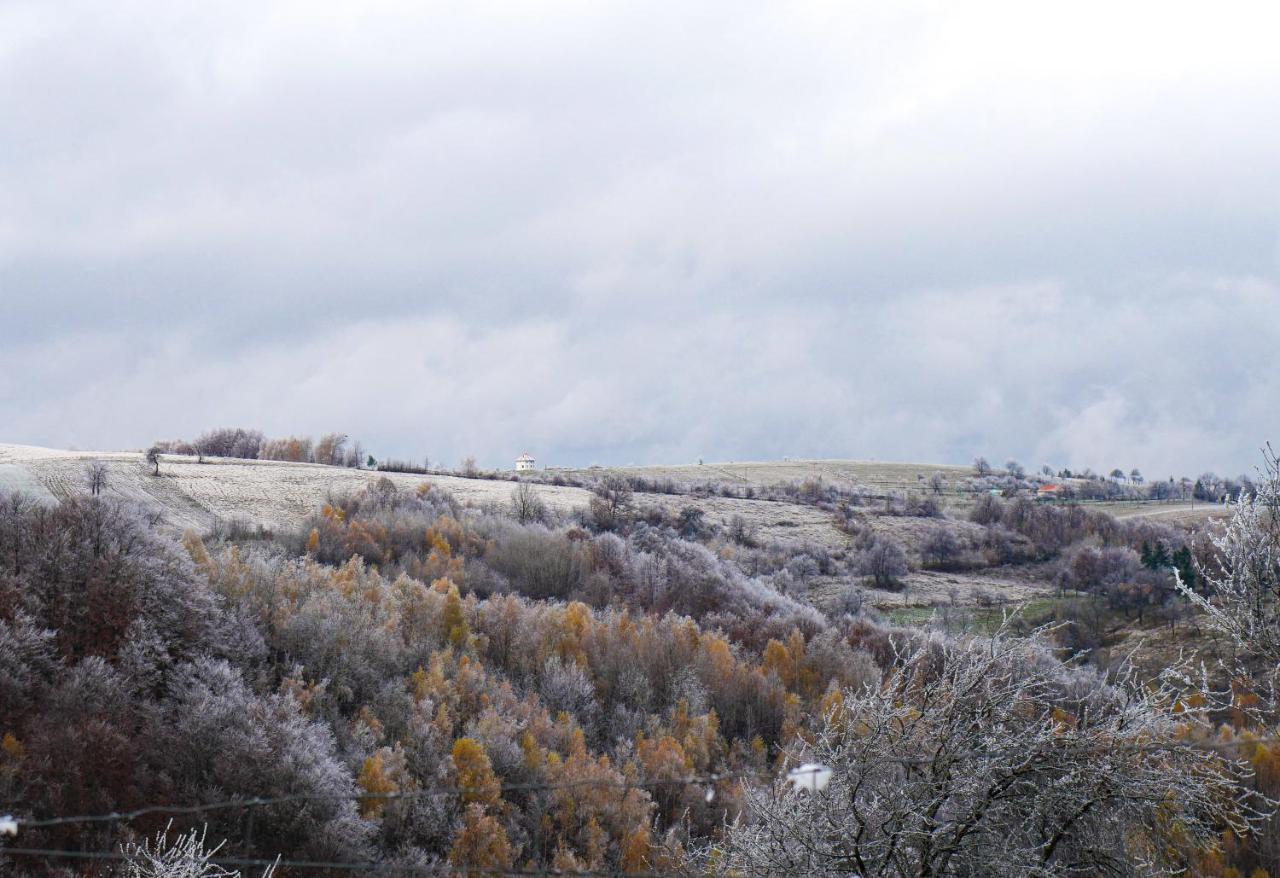 Bed and Breakfast Rose Hip Hill Farm Valea Tirnei Exterior foto
