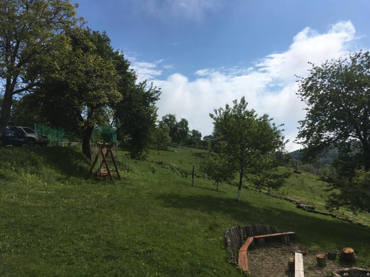 Bed and Breakfast Rose Hip Hill Farm Valea Tirnei Exterior foto