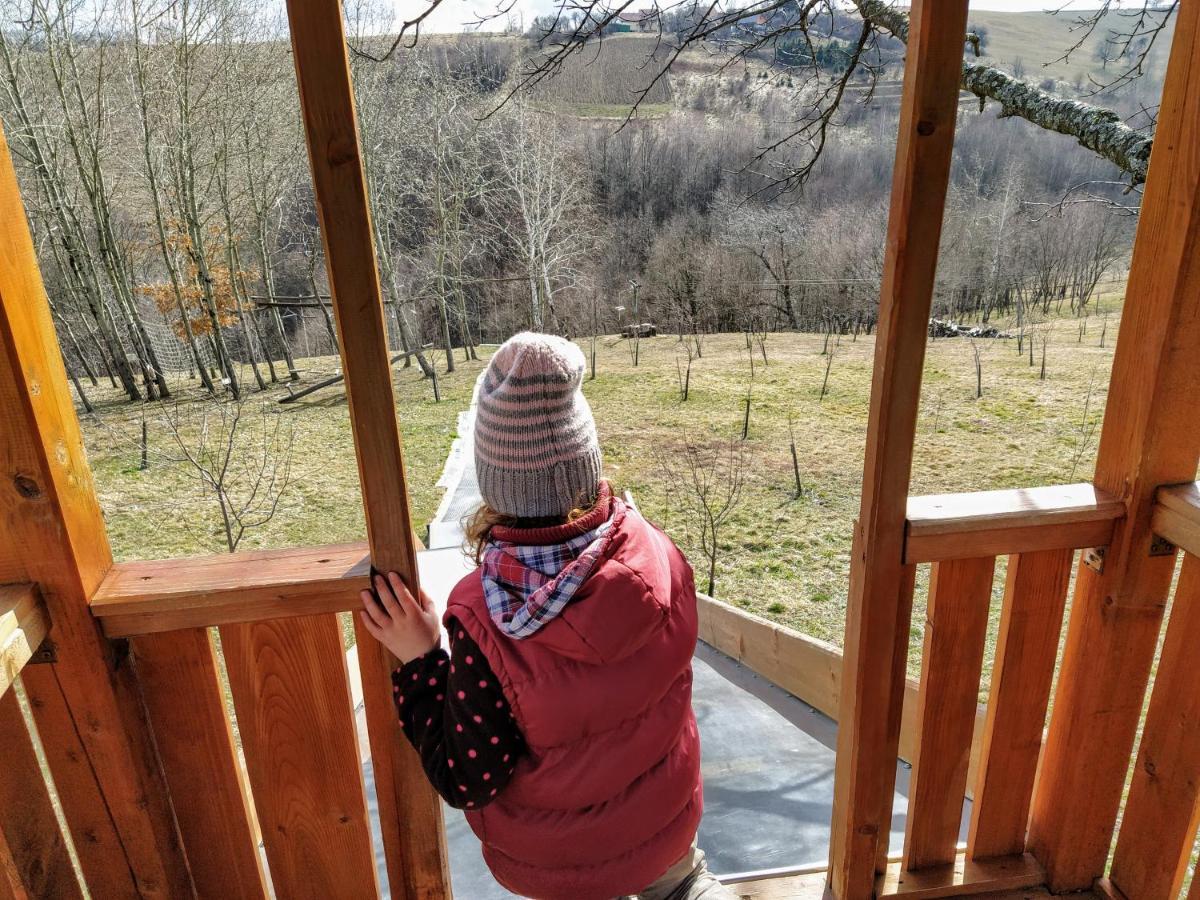 Bed and Breakfast Rose Hip Hill Farm Valea Tirnei Exterior foto